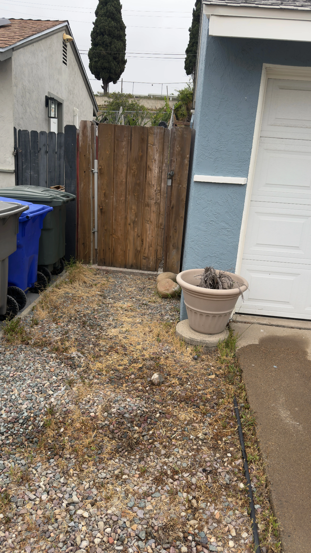 Solo-Pro Hauling — Cleanout Results
